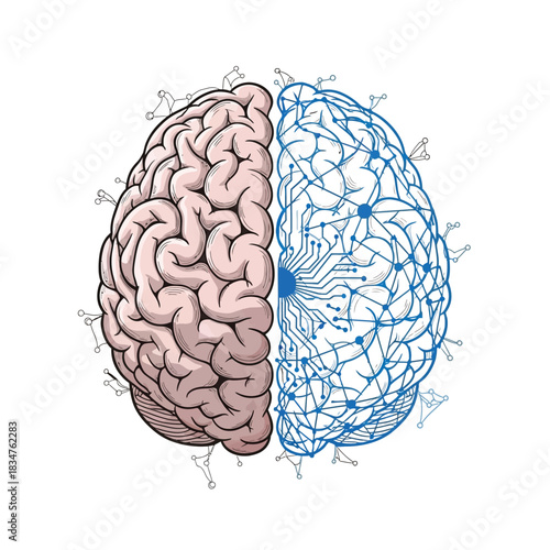 Conceptual illustration of a human brain divided into organic and digital halves, symbolizing the intricate intersection of biological thought and artificial intelligence
