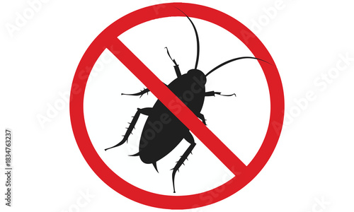 Best Cockroach Control Solutions – Safe & Effective Roach Removal for Homes