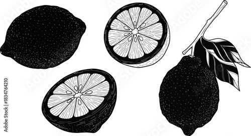 Lemon and Lemon Slices Illustration in Black and White Line Drawing