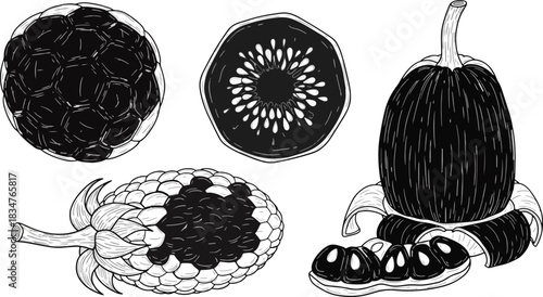 Black and White Fruit Illustration with Pineapple Kiwi and Pumpkin