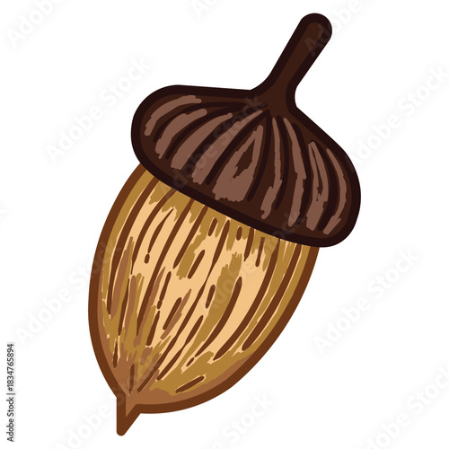 A detailed, hand-drawn illustration of an acorn with a brown cap and textured body, symbolizing the autumn season, nature, and Thanksgiving harvest themes.