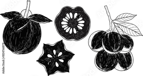 Black and White Sketch of Fresh Fruits with Apple Guava and Passion Fruit