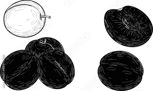 Black and White Line Drawing of Fresh Apples and Halved Fruit