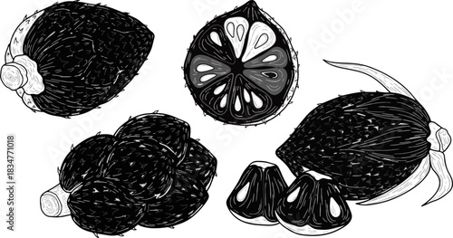 Line Drawing of Passion Fruit Whole and Halved with Seeds on White Background