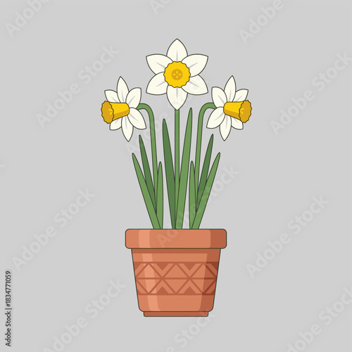 Three daffodil flowers with white petals and yellow centers in a brown pot against a gray background.