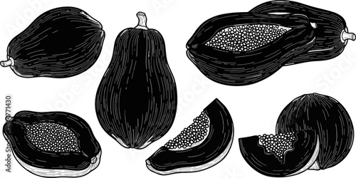 Black and White Papaya Fruits Illustration Set for Food and Nutrition Design