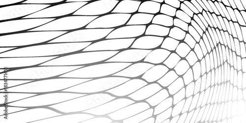Mesh texture for fishing nets. Seamless pattern for sportswear or soccer goal, volleyball net, basketball hoop, hockey, athletics. Abstract net background for sports.eps10