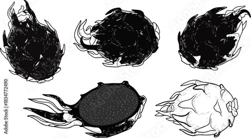 Fresh Dragon Fruits Whole and Halved in Black and White Line Art