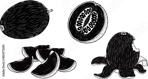 Line Drawing of Fresh Whole and Sliced Melons with Peels and Segments