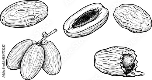 Hand Drawn Almonds and Nut Shells Illustration for Food and Health Content