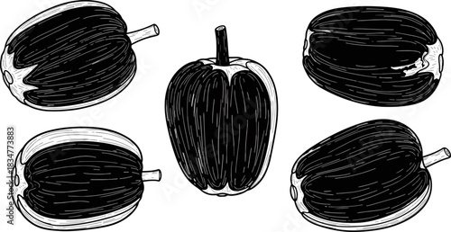 Black and White Illustration of Bell Peppers with Detailed Line Art