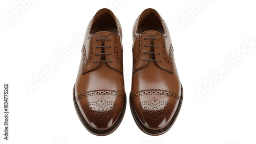 Classic brown leather dress shoes convey style and professional success
