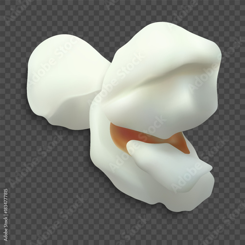 Realistic popcorn icon, a fluffy, sweet or salty piece of corn kernel.