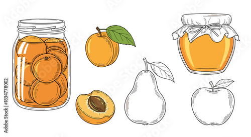 Hand-drawn collection of fresh fruits and homemade preserves including a jar of apricot jam a honey pot a pear and an apple.jpg