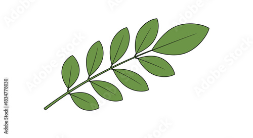 Simple and clean flat vector illustration of a single green tree branch with several leaves isolated on a white background.jpg