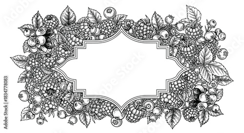 Ornate vintage monochrome frame bordered by a dense arrangement of hand-drawn forest berries like raspberries and blueberries.jpg