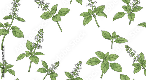A fresh and airy seamless pattern of hand-drawn basil sprigs with leaves and small flowers on a clean white background.jpg