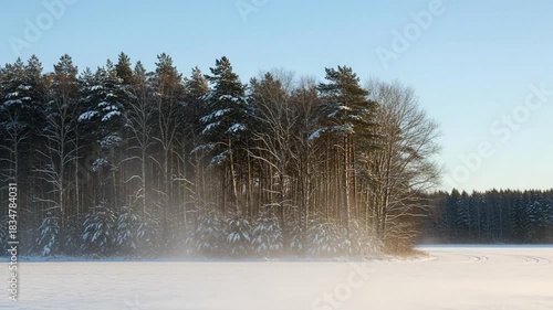 Captivating winter scenery: A tranquil snowy landscape with sunlit trees and blowing snow