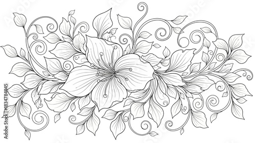 Intricate black and white line art illustration of elegant flowers and swirling leaves, perfect for a decorative border or adult coloring book.