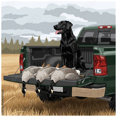 Black Lab hunting dog sitting on a truck tailgate with harvested Canada geese after a hunt