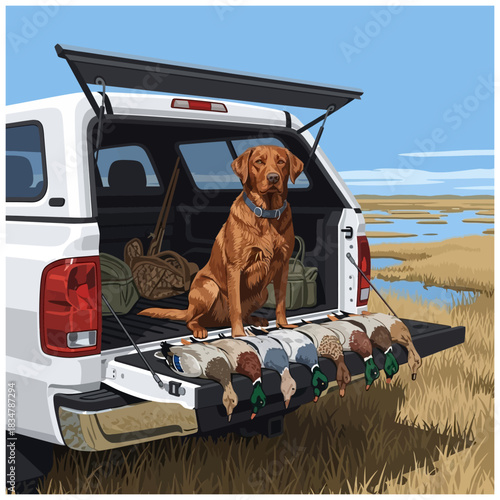 Red fox lab sitting on a pickup truck tailgate with harvested ducks and hunting gear in the field