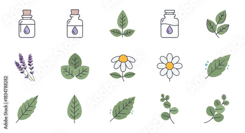 Collection of Natural Ingredient and Essential Oil Icons with Herbs and Bottles.