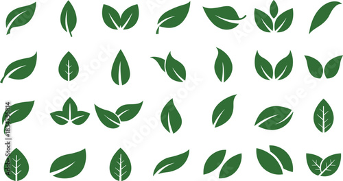 Green leaf vector icons, eco friendly foliage illustration, organic plant graphic, natural botanical design, herbal ecology element, sustainable nature symbol