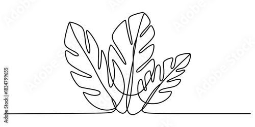 Continuous line drawing of tropical monstera leaves on a clean background, single line art for nature, botany, and minimalist design. Vector, illustration