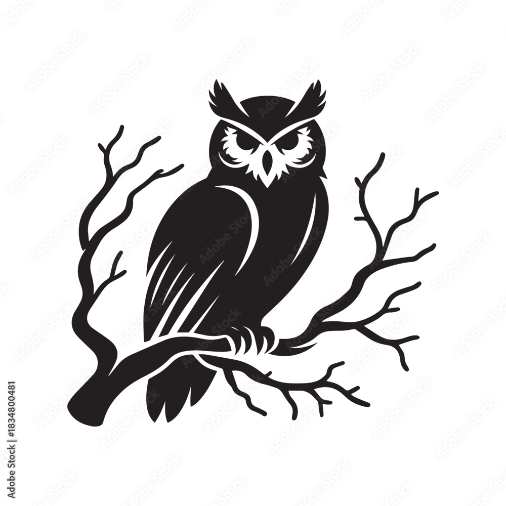 Fototapeta premium owl on a branch vector