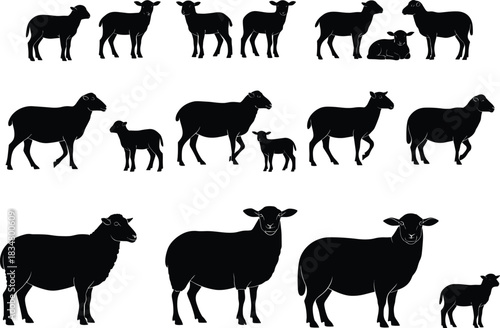 Black silhouette collection of sheep and lambs isolated on white background, farm animal vector illustration, agriculture design, rural livestock, wool farming concept