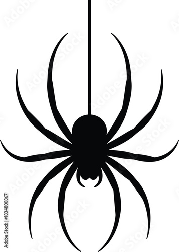 Black spider silhouette hanging from thread vector illustration, isolated creepy insect design for Halloween decoration, spooky web element, and horror graphic art