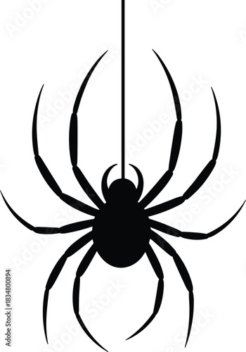 Black spider silhouette hanging on thread vector illustration, isolated creepy insect design for Halloween decoration, web element, and spooky graphic art