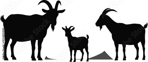 Silhouette of three goats standing together, farm animals illustration, mountain goats family, rural livestock graphic, nature, countryside, grazing animals art.