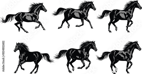 Set of Human Resources, People Management, Team Building, Recruitment, Professional Development, and Business Line Color Icons Vector