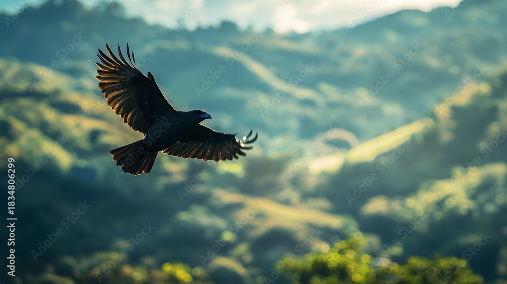 Obraz premium A black crow flies with spread wings over green hills under a bright blue sky.