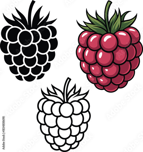 Set of Raspberry Vector Icons, Including Outline, Color, and Silhouette Styles, Ideal for Fruit Juice, Healthy Food, Berry Farm, or Summer Dessert Design