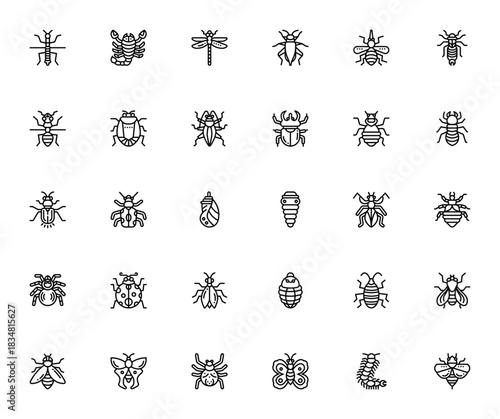 Insect icon set. Vector illustration collection. Incudes stick insect, scorpio, dragonfly, mosquito, spier, beetle, butterfly, beeand more. Editable thin lie icons.