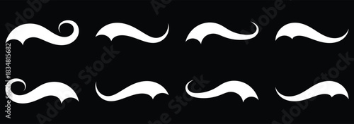 Swirl swash stroke design curl typographic illustration. Swoosh and swash tails. Swooshes text tail for baseball design. Sports swash underline shapes in retro style. Swish typography font element.