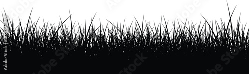 Black silhouette vector illustration of natural grass border, decorative spring and summer field element, horizontal lawn edge graphic, isolated on white background