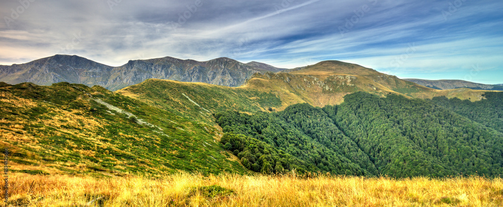 Naklejka premium Beautiful landscape in the summer mountain