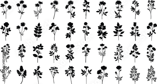 wildflower, silhouette, plant, flora, botanical, nature, herb, flower, leaf, stem, vector, grid, black, white, design,
