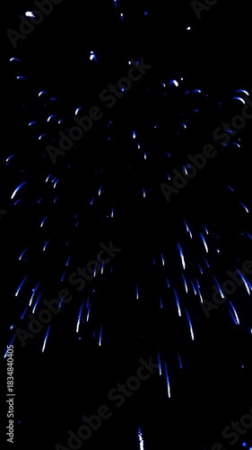 Wallpaper Mural Vertical blue willow firework explodes with falling rain trails. Beautiful holiday finale animation for social media content Torontodigital.ca