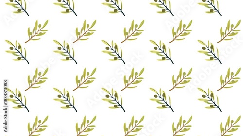 olive branch background 