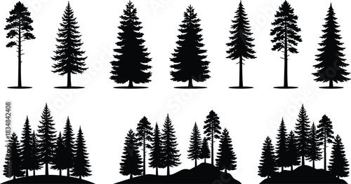 “Set of detailed pine and fir tree silhouettes featuring individual evergreens and forest landscape scenes for nature, wilderness, and outdoor vector illustrations.”