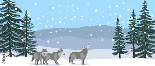 vector drawing winter landscape with wolves, snow and fir trees, hand drawn illustration,cover background