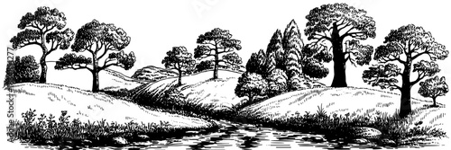 a winding road cutting through a forest, with the sun shining strongly above the natural landscape.