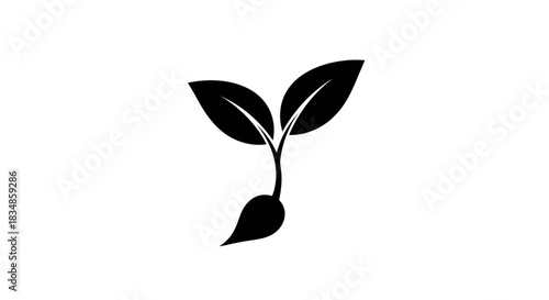 Sprout plant icon with transparent background
