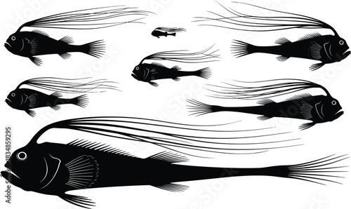 Set of Fish Silhouettes in Various Sizes and Shapes for Marine Biology, Aquatic Illustration, and Zoological Graphic Design