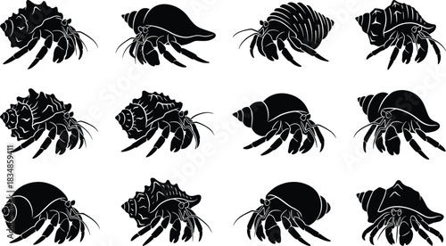 Set of Hermit Crab Silhouettes in Diverse Shell Designs for Marine Biology, Nature Illustration, Educational Use, and Graphic Projects