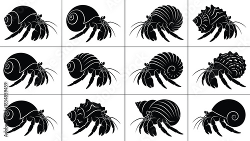Set of Hermit Crab Silhouettes with Unique Shell Designs for Marine Biology, Nature Illustration, Educational Use, and Graphic Design